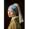 Image de Puzzle 1000 pièces Enjoy   Johannes Vermeer : La Jeune Fille à la perle