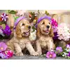 Image de Puzzle 1000 pièces Enjoy   Chiots épagneul avec chapeaux de fleurs