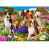 Image de Puzzle 1000 pièces Enjoy   Puppy Patch