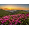 Image de Puzzle 1000 pièces Enjoy   Crépuscule Rose