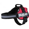 Image de Julius-K9® Harnais d'énergie® Bébé 1 Mini 51 67 cm/28 mm rouge
