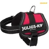 Image de Julius-K9 Powergeschirr Baby harnais pour chien rouge XS-S, Dimensions:26 - 36cm