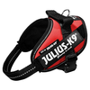 Image de Julius k9 Power-Kabelbaum / faisceau de c  bles pour tags rouge