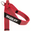 Image de Julius K9 IDC harnais pour chien taille 2 rouge 16502-IDC-R-2015
