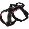 Image de Julius K-9 Speed Harnais pour chien Noir M Noir M