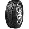 Image de Mastersteel Winterplus 1 Is-W 245/45R18 100H Xl