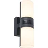 Image de Applique de façade extérieure CYRA - MOVEMENT SENSOR anthracite Lutec 5198102118