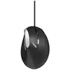 Image de Rapoo EV200 souris Bureau Droitier USB Type-A Optique 1600 DPI