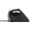 Image de Rapoo EV200 souris Bureau Droitier USB Type-A Optique 1600 DPI - Neuf