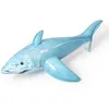 Image de Cavalier De Requin Realiste