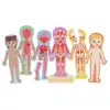 Image de Puzzle Magnétique Éducatif - Assemblez le Corps Humain pour Enfants - Neuf