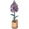 Image de puzzle 3D, Lilas, Rowood, bois, 154 pièces