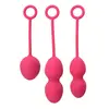 Image de SVAKOM - Nova - Set d'entraînement de Kegel - Rose