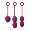 Image de SVAKOM - Nova - Set d'entraînement de Kegel - Violet