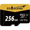 Image de ExAscend Catalyst UHS-I Micro 256 GB Carte mémoire