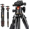 Image de K&F Trépied Pro carbone + Rotule BH-36L - Neuf