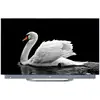 Image de TV Haier C90 (2024) 65 OLED UHD 4K - H65C900UX - Neuf