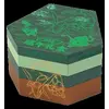 Image de Pokemon Dragon Boat Festival Gift Box S-Chinese