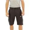 Image de Helly Hansen Jotun Qd Cargo Shorts Gris 30 Hommes Gris 30