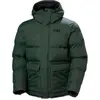 Image de Vestes Helly Hansen 54513418