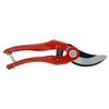 Image de Secateurs