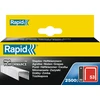 Image de Staples Rapid 53/6 2500 pcs.