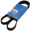 Image de Courroie Trapézoïdale À Nervures Skf Vkmv 5pk1199 Land Rover 11 72 093 54r