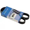 Image de Courroie Trapézoïdale À Nervures Skf Vkmv 6pk905 Audi 038 903 137 G 5750.rg