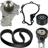 Image de Pompe À Eau + Kit De Courroie Crantée Skf Vkmc 03318 Citroën 0516.a3 0516.l5