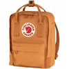 Image de Kånken Mini 7 - Sac à dos 29 cm (vert givre)