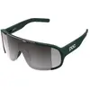 Image de Lunettes POC Aspire Vert TU ASP2012-9623