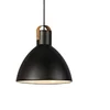 Image de EAGLE Lampe à suspendre noire 1 ampoule