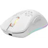 Image de Deltaco GAM-120-W Deltaco Gaming Maus USB, RGB, weiß
