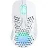 Image de CHERRY XTRFY M4 RGB mouse Gaming Droite RF Sans fil + USB Type-C Optique 19000 DPI