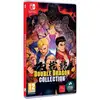 Image de Double Dragon Collection (SWITCH) - Neuf