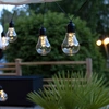 Image de Guirlande lumineuse LED de fête Glow - 10 ampoules à 3 LED blanc chaud - L : 4,05m - pile - minuterie - extérieur