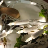 Image de Mini guirlande lumineuse LED Pisello - 35 LED blanc chaud - L : 5,1m - câble blanc - indoor