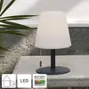 Image de Star Trading Lampe de table LED Kreta 26 cm grise