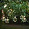 Image de Guirlande lumineuse LED CHANIA - solaire - 8 LED blanc chaud - L : 245cm - capteur de lumière - extérieur - clair