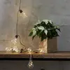 Image de Guirlande lumineuse LED Star Trading « Jutta », 10 ampoules, corde en jute