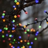 Image de Collier de fête LED 'Berry Mini', 700 pcs, LED colorées,
