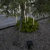 Image de Chaîne de jardin solaire à leds Bubbly