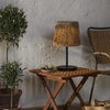 Image de Lampe de table solaire Cesta « Jacinthe d'eau » Crépuscule 48 cm