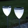 Image de Ensemble de 2 lampes solaires LED pour jardin, couleur argent, dimensions approximatives : 34 x 10 cm. Chaque lampe contient 2 LED blanches froides, un panneau solaire et une batterie rechargeable. Adaptées pour une utilisation extérieure. Référence : 477-35