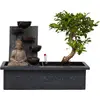 Image de Bonsaï - Bonsai - Hauteur 25-35cm -  29cm