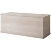 Image de Muebles Bonitos - Coffre De Rangement Intérieur Banc De Rangement 100x40x40cm Modèle Ariel Couleur Sonoma