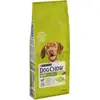 Image de Chien Vache Chien Adulte Agneau 14Kg