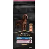 Image de PURINA Sensitive Skin Large Athletic Adult Salmon - nourriture sèche pour chiens - 14 kg