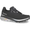 Image de Chaussures Dolomite DOL Ws Nibelia GTX Noir/Gris lilas 39,5