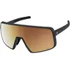 Image de Scott Torica Light Sensitive Sonnenbrille noir AMP LS or chrome S1-3